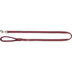 Correa Premium, XS, 1,20 m/10 mm, Sangría