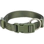 Collar Premium, S, 25–40 cm/15 mm, Oliva-Verde