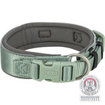 Premium Collar, extra ancho, L, 46–55 cm/50 mm, Salvia/Grafito