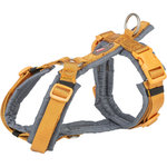 Premium Arnés Trekking, L, 70–85 cm/25 mm, Curry/Grafito