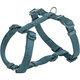 Arnés Premium, L, 60–87 cm/25 mm, Azul petróleo