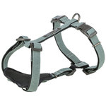 CityStyle Arnés, M–L, 52–75 cm/20 mm, Salvia