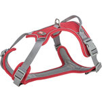 Premium Arnés Active, L, 69–87 cm/25 mm, Rojo