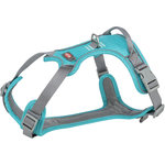 Premium Arnés Active, L, 69–87 cm/25 mm, Aqua