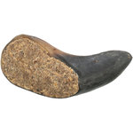 Cuerno de búfalo, 10–14 cm