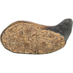 Cuerno de búfalo, 10–14 cm
