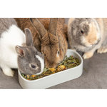 Comedero de cerámica, 600 ml/22 × 10 cm