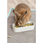 Comedero de cerámica, 600 ml/22 × 10 cm