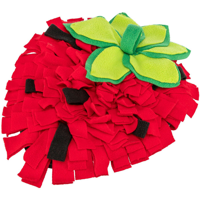 Alfombra para Olfatear, 33 × 40 cm, Rojo