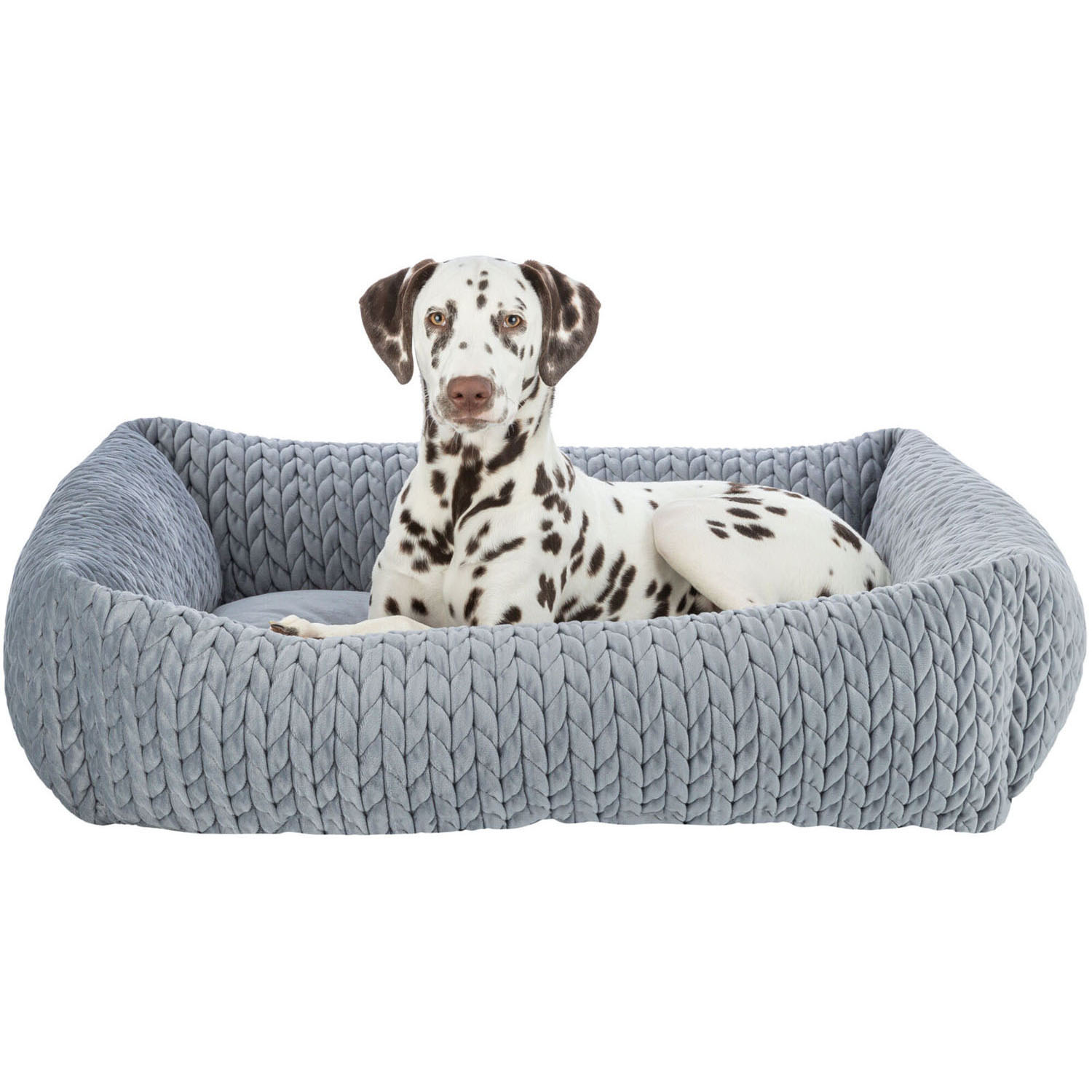 Cama Livia, 80 × 60 cm, Gris