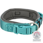 Premium Collar, extra ancho, L, 46–55 cm/50 mm, Aqua/Grafito