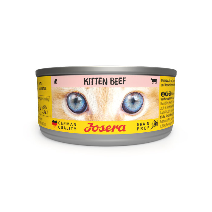 Kitten Beef wet, 85g