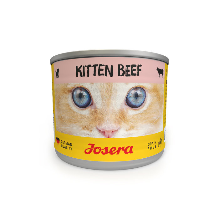 Kitten Beef wet, 85g