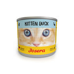 Pato Kitten Húmedo