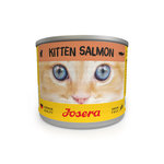 Salmon Kitten Húmedo