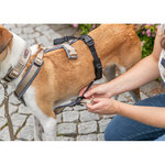 Adaptador antipánico Stay para arneses, L–XL: 59–92 cm/25 mm