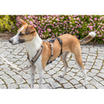 Adaptador antipánico Stay para arneses, L–XL: 59–92 cm/25 mm