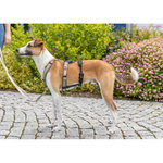 Adaptador antipánico Stay para arneses, L–XL: 59–92 cm/25 mm