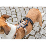 Adaptador antipánico Stay para arneses, L–XL: 59–92 cm/25 mm