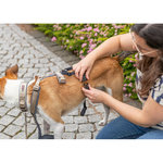 Adaptador antipánico Stay para arneses, L–XL: 59–92 cm/25 mm