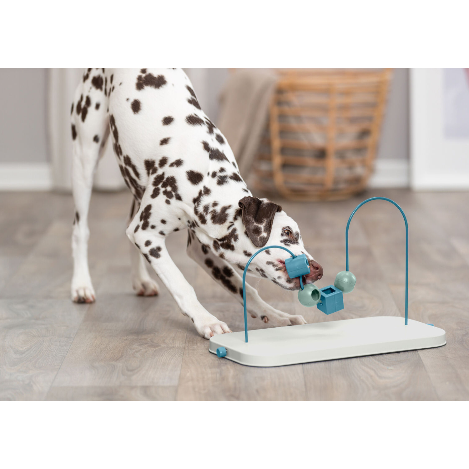 Loopables Dog Dog Activity Skills Loop, plástico/metal, 43 cm - B2B - Grupo Trixder