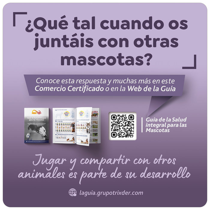 Stopper Comer. Certificado, Socialización