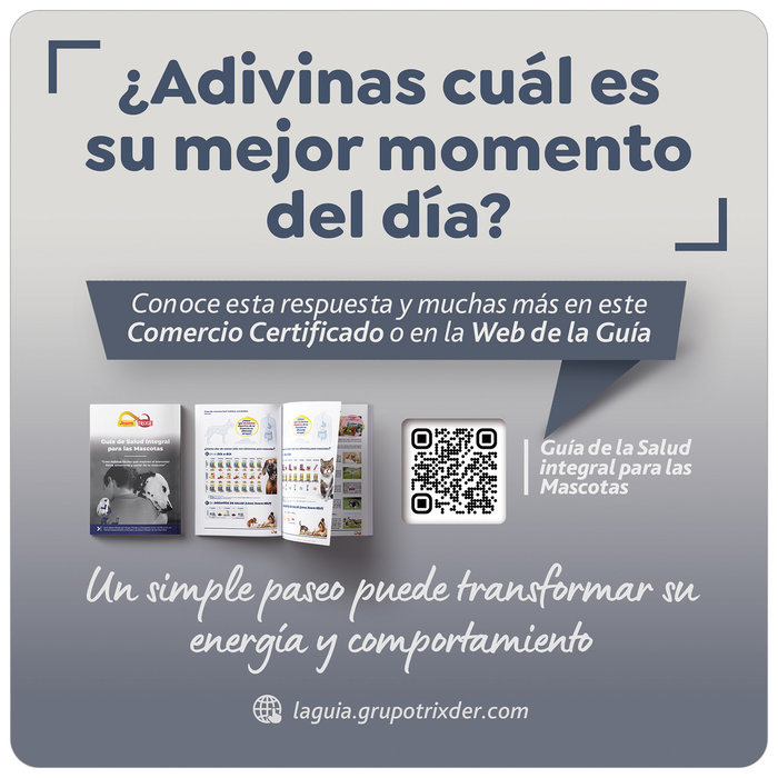Stopper Comer. Certi., Paseo y Juego Fuera Casa