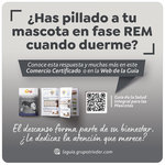 Stopper Comer. Certificado, Descanso
