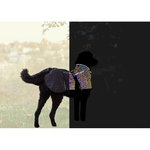 Capa Limoux Reflect, XL, multicolor