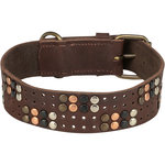 Rustic Collar de piel engrasada Remaches, extra ancho, XL, 55–65 cm\/40 mm, marrón oscuro