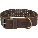 Rustic Collar de piel engrasada Remaches, extra ancho, XL, 55–65 cm\/40 mm, marrón oscuro