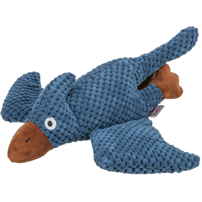 Pterosaurio, 30 cm