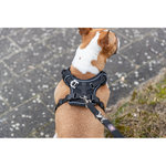 Premium Arnés FlexMesh, L, 63–92 cm\/25 mm, negro