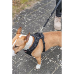 Premium Arnés FlexMesh, L, 63–92 cm\/25 mm, negro