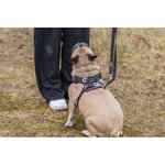 Premium Arnés FlexMesh, L, 63–92 cm\/25 mm, negro