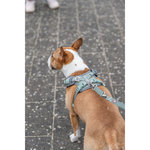 Premium Arnés FlexMesh, L, 63–92 cm\/25 mm, salvia