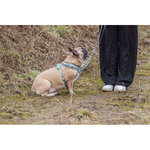 Premium Arnés FlexMesh, L, 63–92 cm\/25 mm, salvia