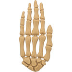 Mano de Halloween con pollo, 70 g, 15 cm