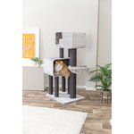 Poste Rascador XXL Rafael, 156 cm, gris