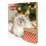 Calendario de Adviento Navidad Gato