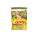 Muestra Perro Senior Salmon & Rice 90g