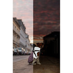 Abrigo de invierno con arnés Pontis Reflect, M: 45 cm, Morado