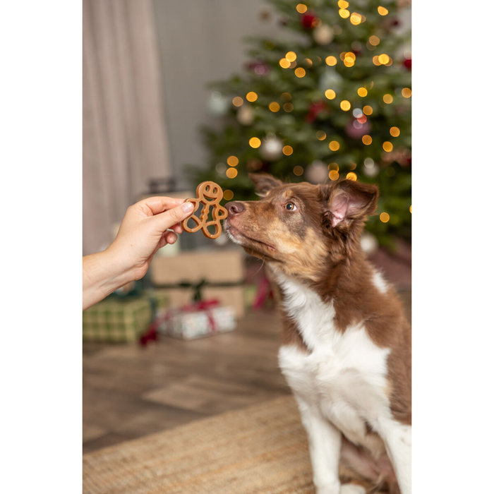 Navidad Galleta de Jengibre, con pechuga de pollo, loose