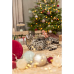 Navidad hombre de jengibre, madera, catnip, 46