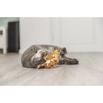 Tortuga de movimiento, peluche, 14 cm