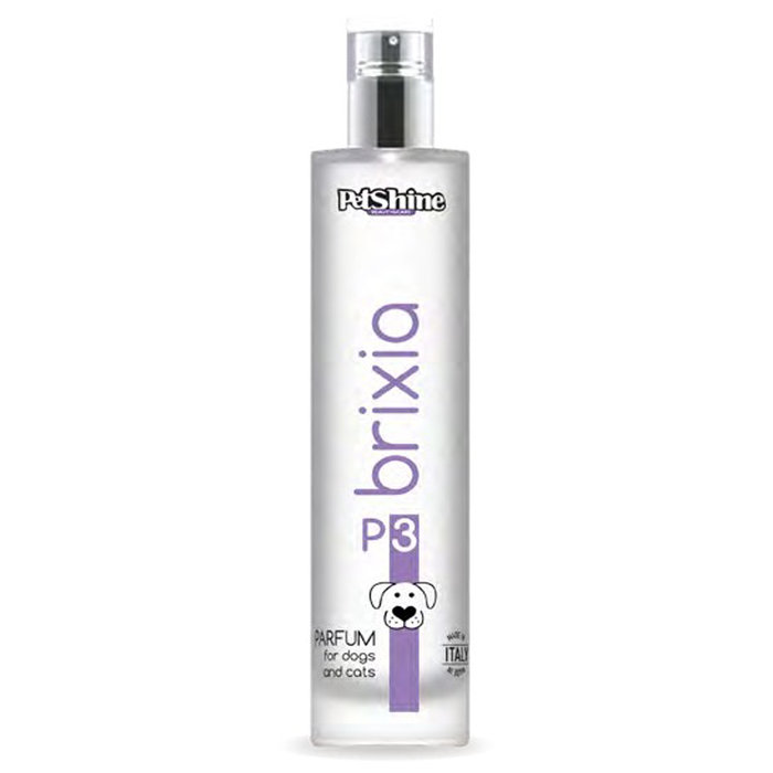 Perfume Brixia 100 ML, BRIXIA