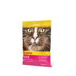 Muestra Gato Indoor